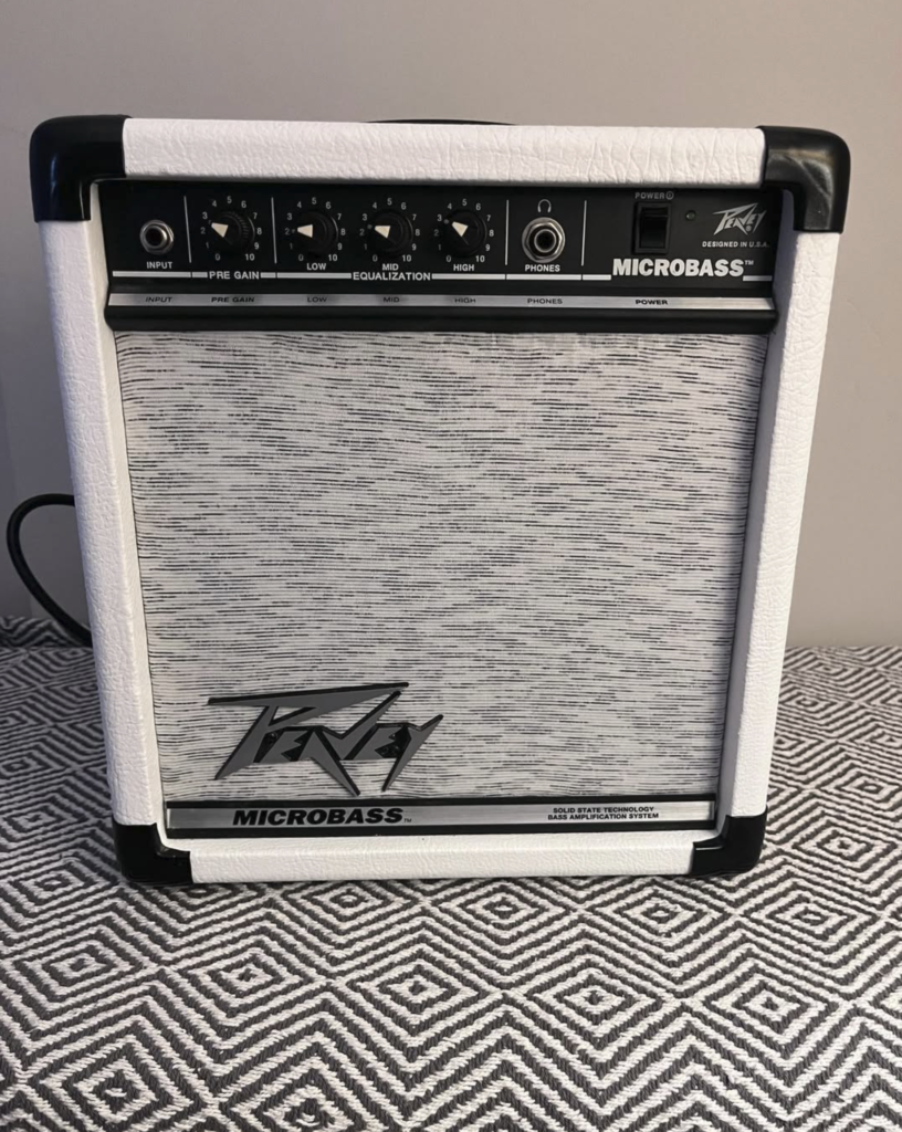 customized Peavey Microbass white with static grille cloth