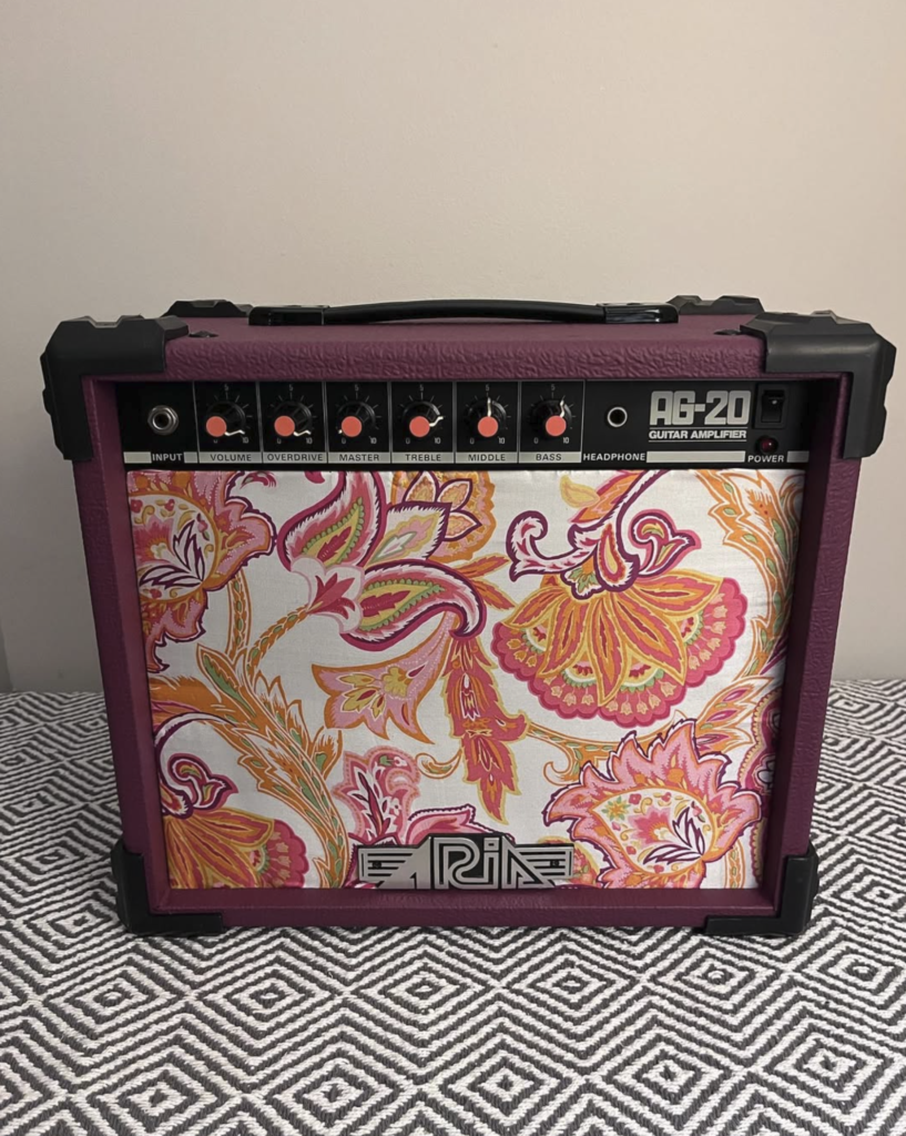 customized Aria AG 20 purple cabinet with paisley grille cloth